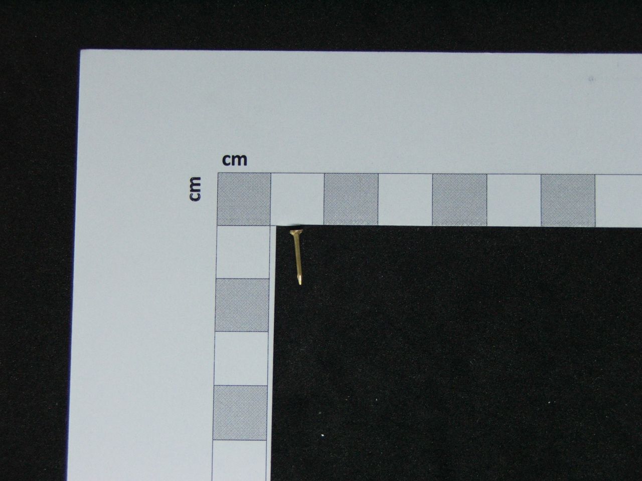 UKRASNI ZLATNI ČAVLIĆ 10
