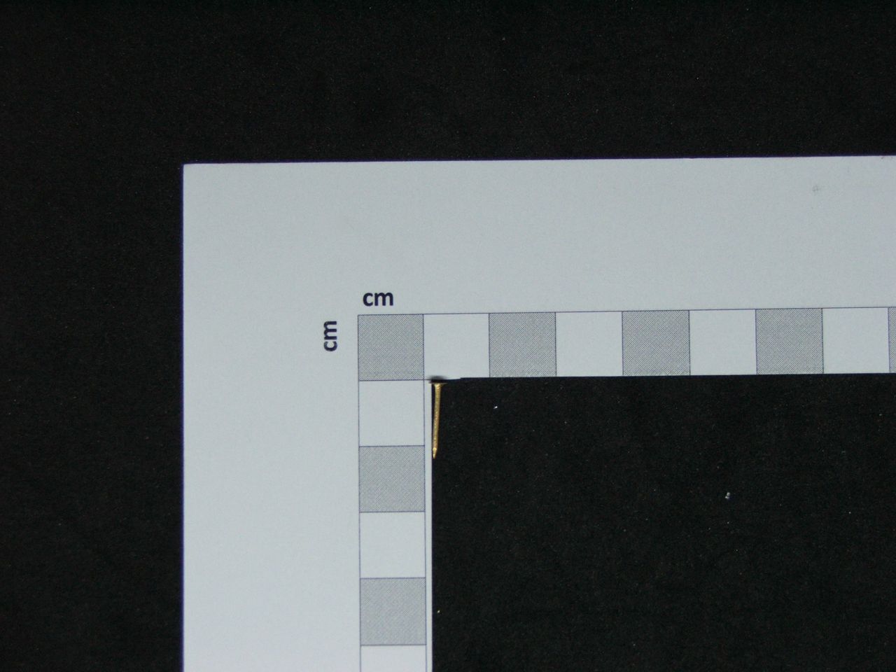 UKRASNI ZLATNI ČAVLIĆ 12